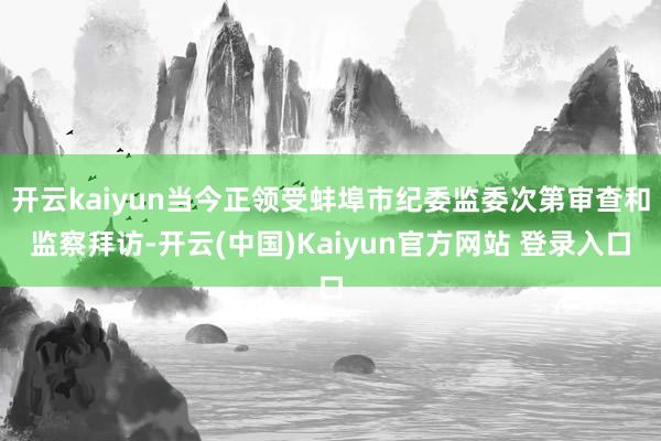 开云kaiyun当今正领受蚌埠市纪委监委次第审查和监察拜访-开云(中国)Kaiyun官方网站 登录入口