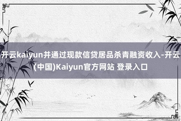 开云kaiyun并通过现款信贷居品杀青融资收入-开云(中国)Kaiyun官方网站 登录入口