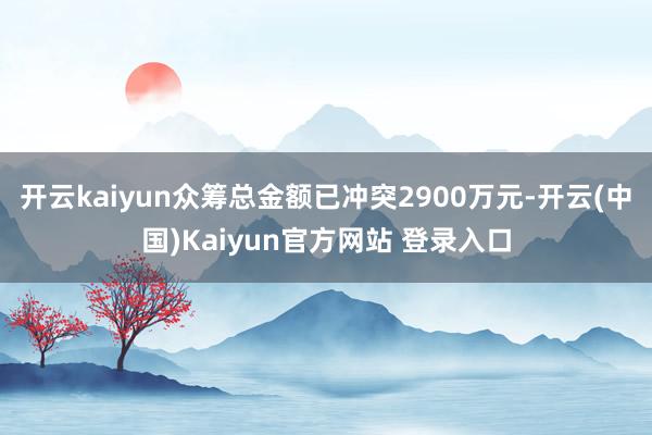 开云kaiyun众筹总金额已冲突2900万元-开云(中国)Kaiyun官方网站 登录入口