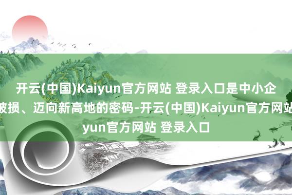 开云(中国)Kaiyun官方网站 登录入口是中小企业得回新破损、迈向新高地的密码-开云(中国)Kaiyun官方网站 登录入口