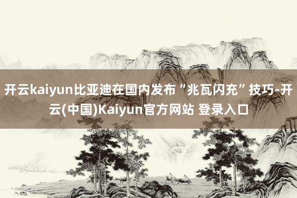 开云kaiyun比亚迪在国内发布“兆瓦闪充”技巧-开云(中国)Kaiyun官方网站 登录入口