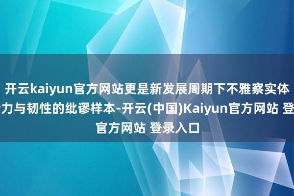 开云kaiyun官方网站更是新发展周期下不雅察实体经济活力与韧性的纰谬样本-开云(中国)Kaiyun官方网站 登录入口