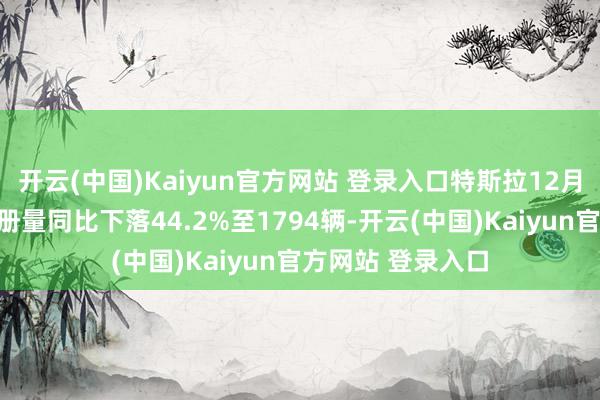 开云(中国)Kaiyun官方网站 登录入口特斯拉12月在西班牙新车注册量同比下落44.2%至1794辆-开云(中国)Kaiyun官方网站 登录入口