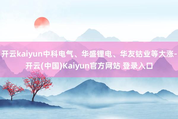 开云kaiyun中科电气、华盛锂电、华友钴业等大涨-开云(中国)Kaiyun官方网站 登录入口