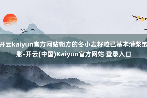 开云kaiyun官方网站朔方的冬小麦籽粒已基本灌浆饱胀-开云(中国)Kaiyun官方网站 登录入口