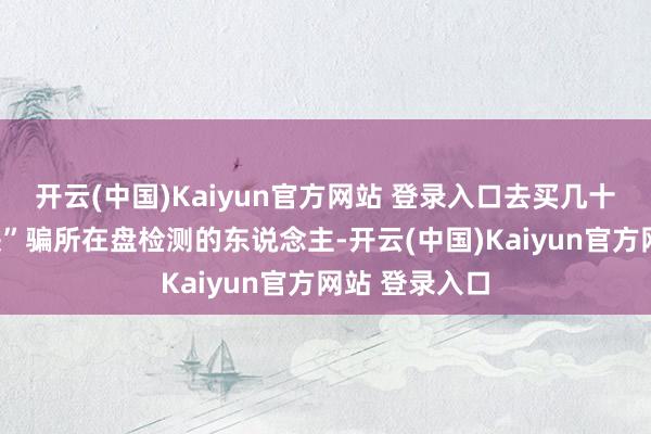 开云(中国)Kaiyun官方网站 登录入口去买几十块钱“配重块”骗所在盘检测的东说念主-开云(中国)Kaiyun官方网站 登录入口