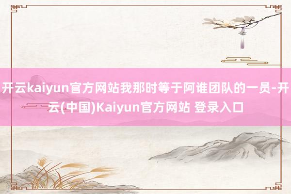 开云kaiyun官方网站我那时等于阿谁团队的一员-开云(中国)Kaiyun官方网站 登录入口