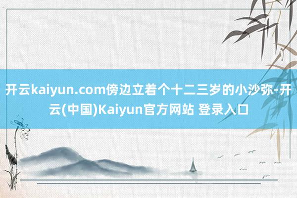 开云kaiyun.com傍边立着个十二三岁的小沙弥-开云(中国)Kaiyun官方网站 登录入口