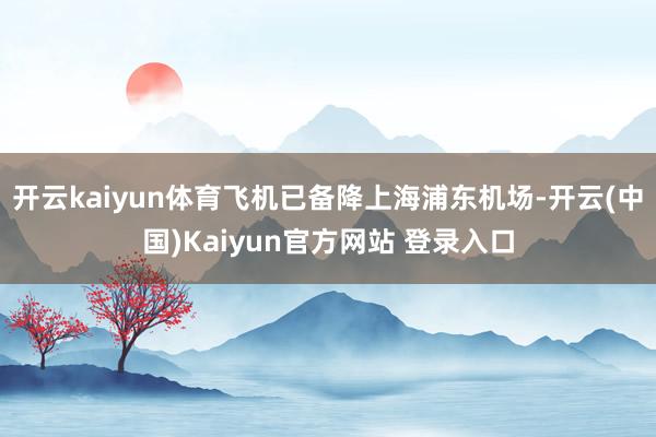开云kaiyun体育飞机已备降上海浦东机场-开云(中国)Kaiyun官方网站 登录入口